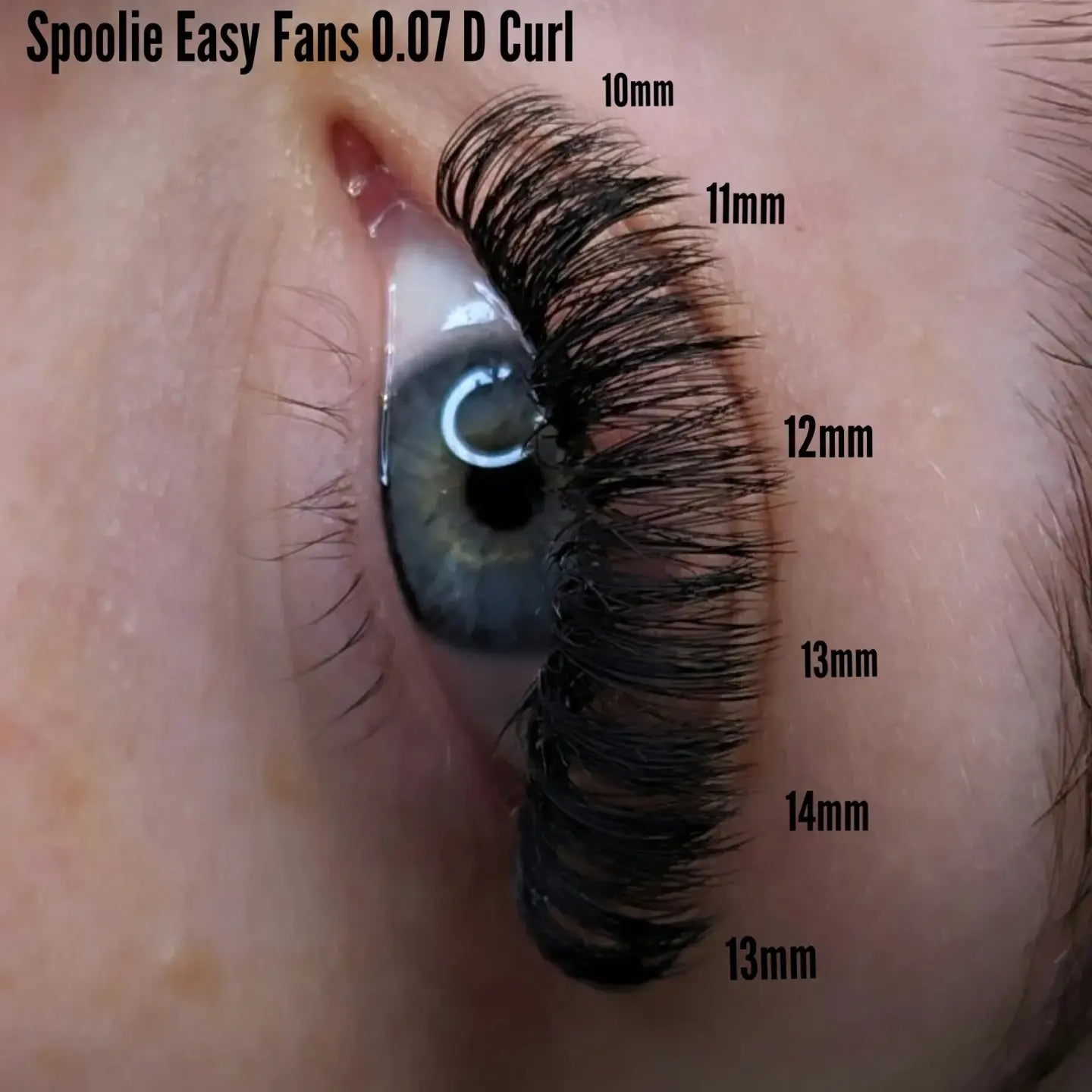 The ultimate lash mapping guide